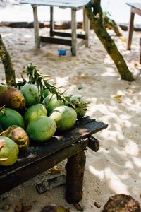 coconut source